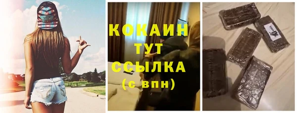 молекула духа Вязьма