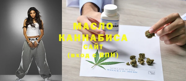 молекула духа Вязьма