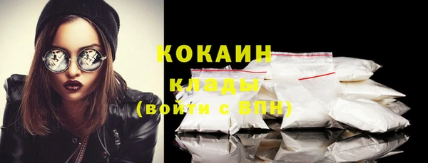 молекула духа Вязьма