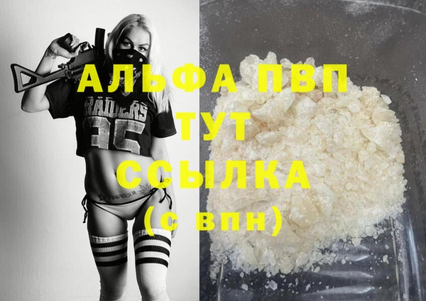 молекула духа Вязьма